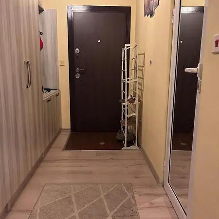 Damyanov بازارجيك